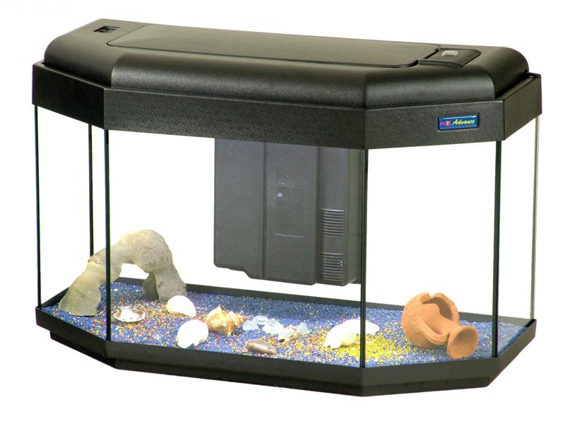 bue klassisk Slud Advance 80 Panorama Aquarium (80x35), Glass Aquarium complete with plastic  hood, lighting system, box filter, wa
